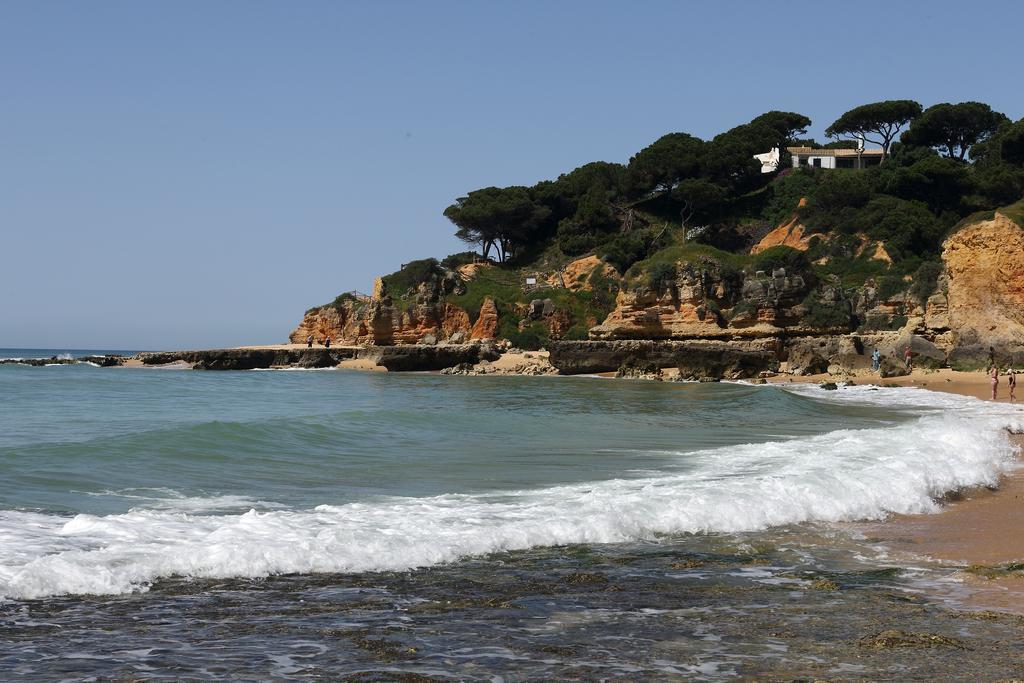 Mira Parque Bed & Breakfast Albufeira Exterior photo