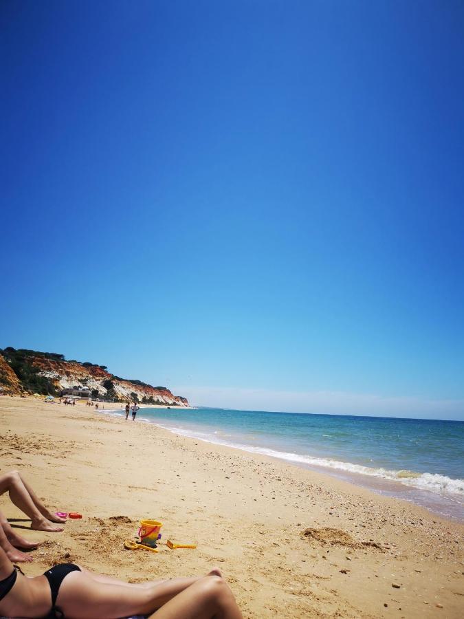 Mira Parque Bed & Breakfast Albufeira Exterior photo